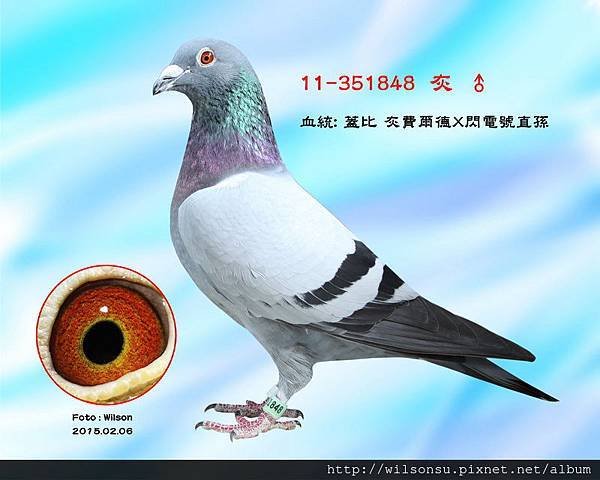 11-351848_調整大小.jpg