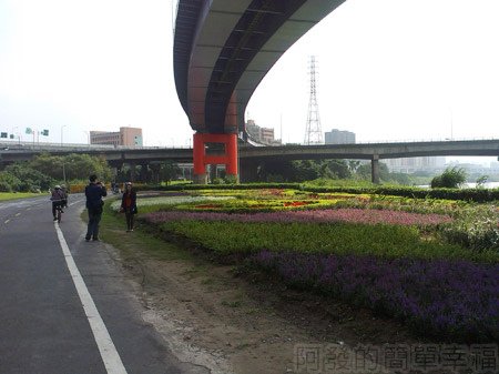 古亭河濱公園07永福橋往福和河濱公園-一旁小花海