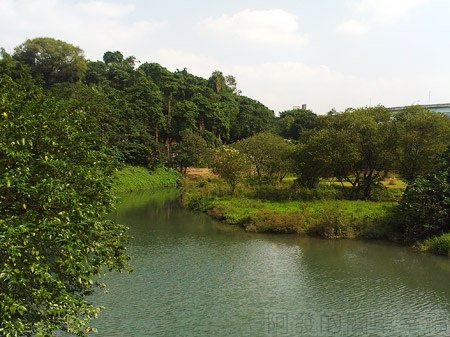 古亭河濱公園11永福橋往福和河濱公園-永福公園