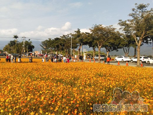 2015花海氣球嘉年華02