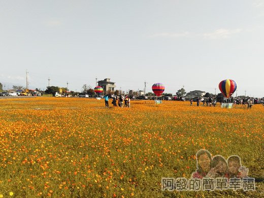 2015花海氣球嘉年華05