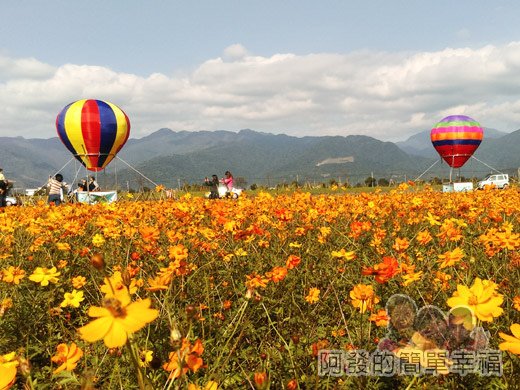 2015花海氣球嘉年華08