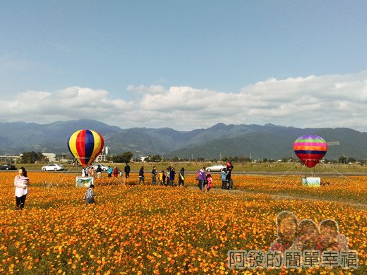 2015花海氣球嘉年華07