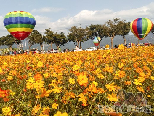 2015花海氣球嘉年華09