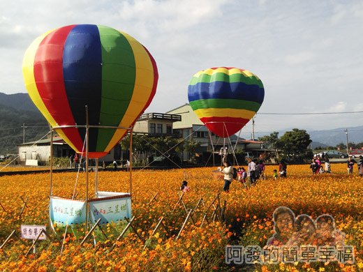 2015花海氣球嘉年華12