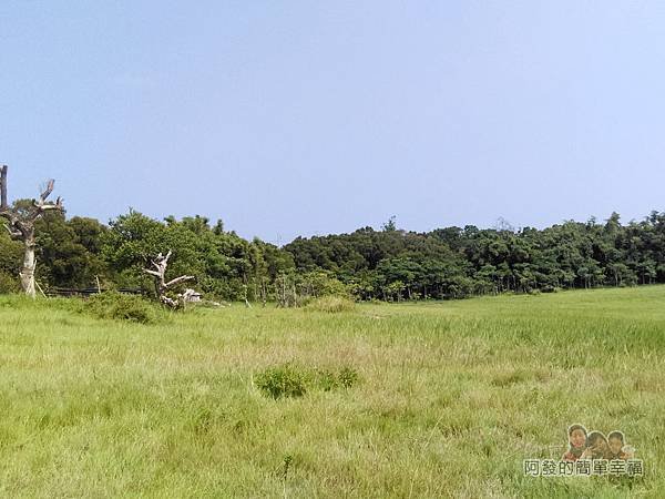 青青草原04-入口旁的青青草原(大草原)