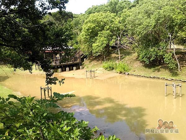 青青草原27-生態池(水水公園)