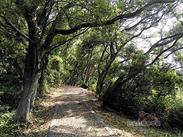 青青草原30-相思小徑