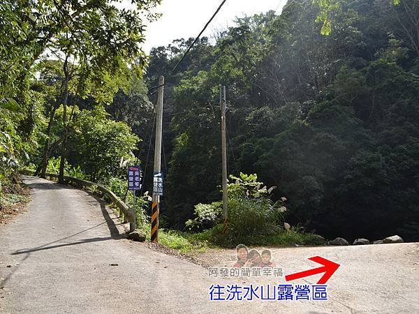 洗水坑李花祕境06-岔路往右