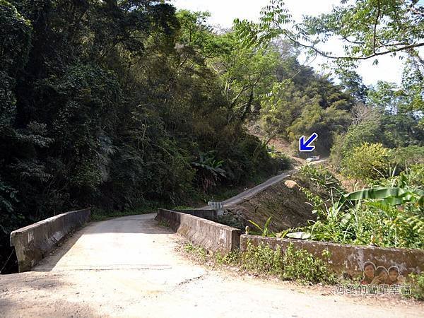 洗水坑李花祕境07-東山橋