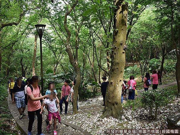 虎頭山公園周邊景點美食04-經國梅園-遊客們驚喜連連.JPG