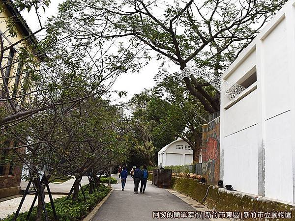 新竹市立動物園06-玻工館旁的林蔭步道.JPG