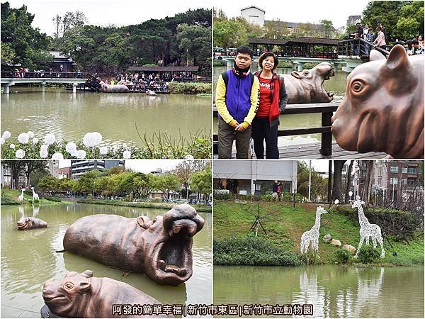 新竹市立動物園09-公園湖畔區組圖.jpg