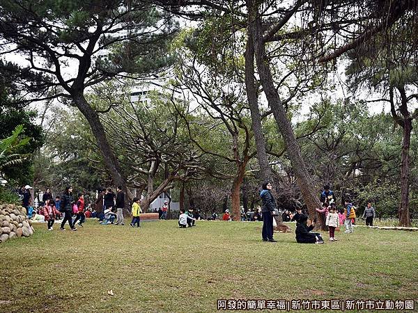 新竹市立動物園21-大草皮.JPG