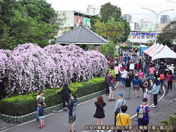 2020楓樹河濱公園04-入口處涼亭與花況.JPG