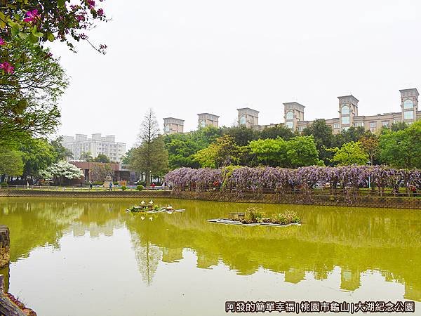大湖紀念公園04-霧中的湖畔風光.JPG