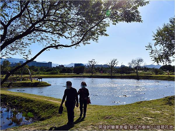 山佳荷花池12-環池步道.JPG