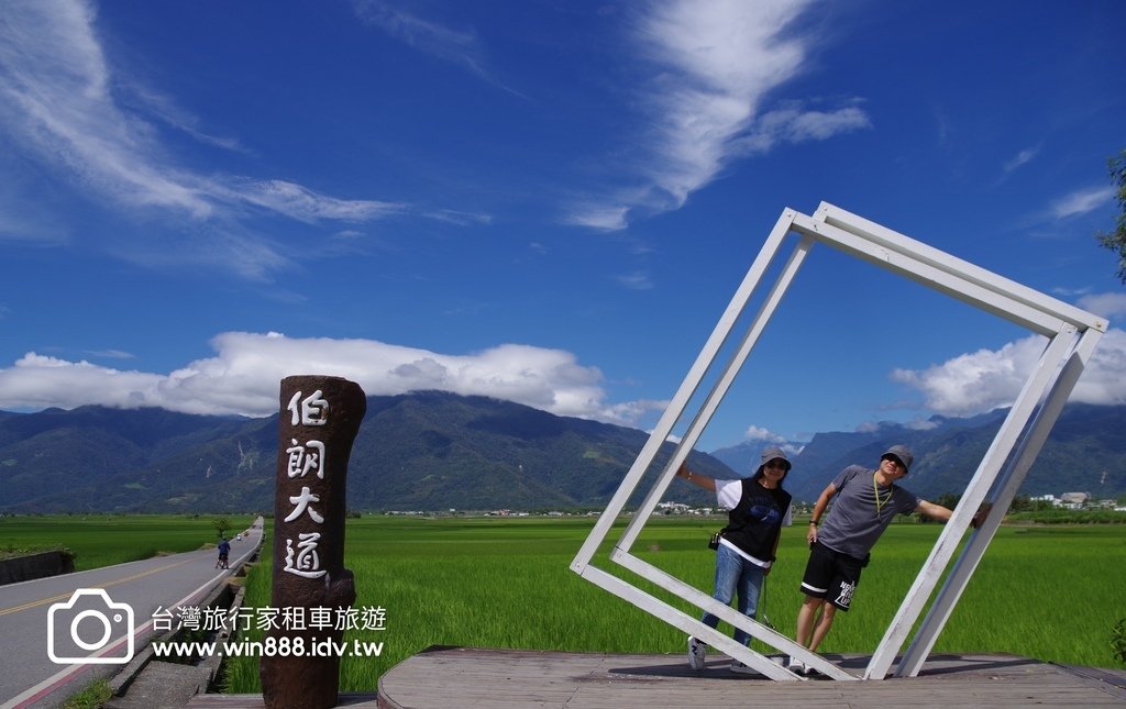 2023 0923 台東旅行，伯朗大道，天堂路，滿山滿谷金針