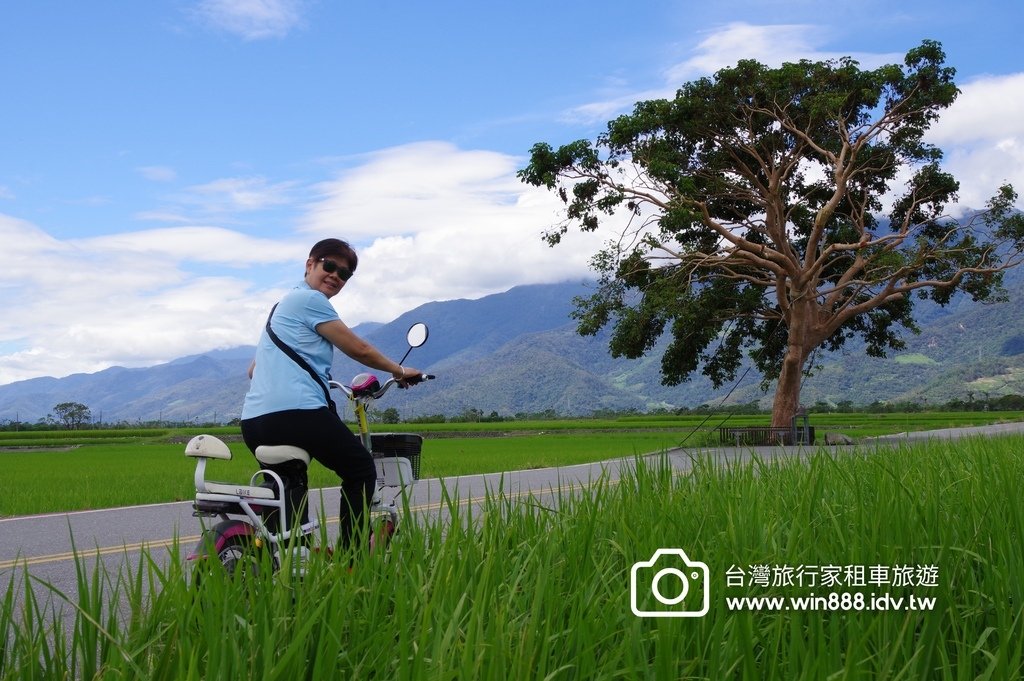 2023 0923 台東旅行，伯朗大道，天堂路，滿山滿谷金針