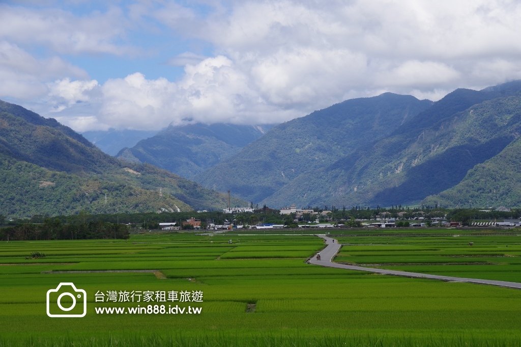 2023 0923 台東旅行，伯朗大道，天堂路，滿山滿谷金針