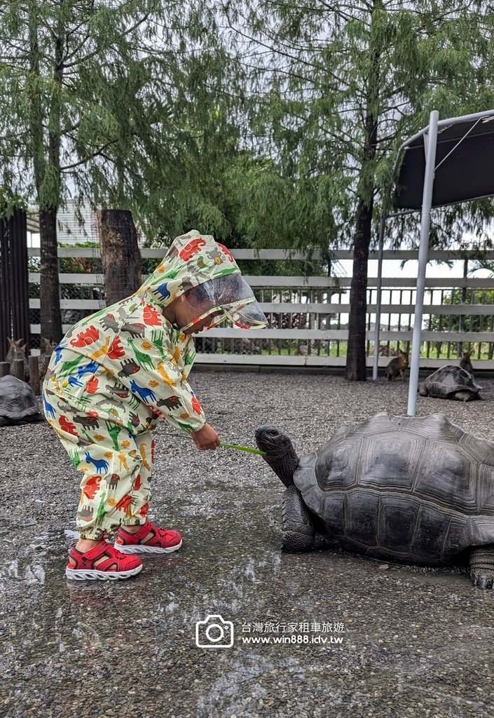 2024 1022 宜蘭親子旅遊，小動物餵食，拔蔥做蔥餅。