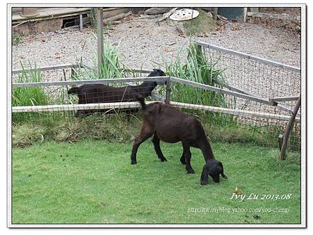 IMG_2584_nEO_IMG