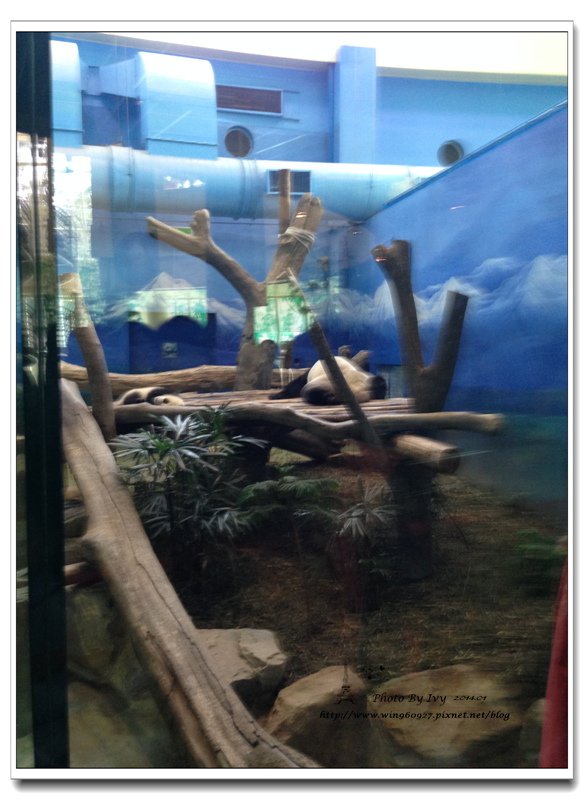 1030129~zoo