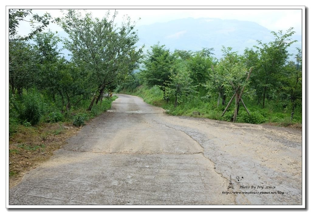 A077.jpg