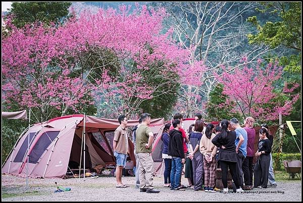 【露營230】1130203~新竹★五峰【桃山清泉露營區★ 