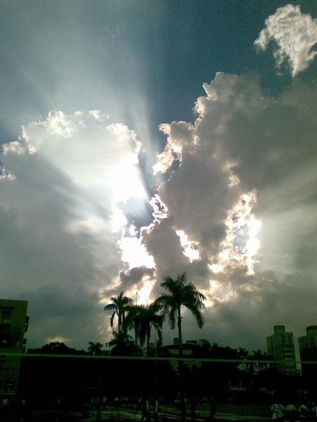 20100622_001.jpg