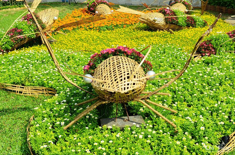 2013士林官邸菊展11.jpg
