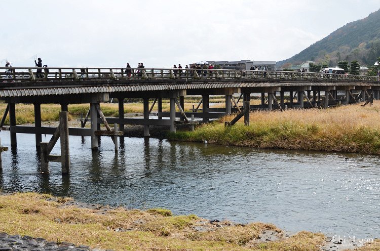 渡月橋08.jpg