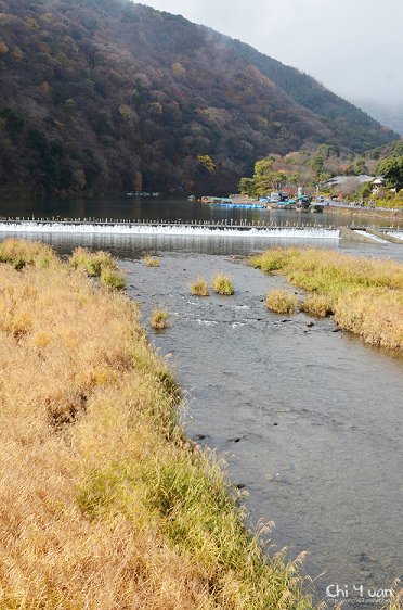 渡月橋15.jpg