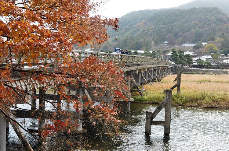 渡月橋24.jpg