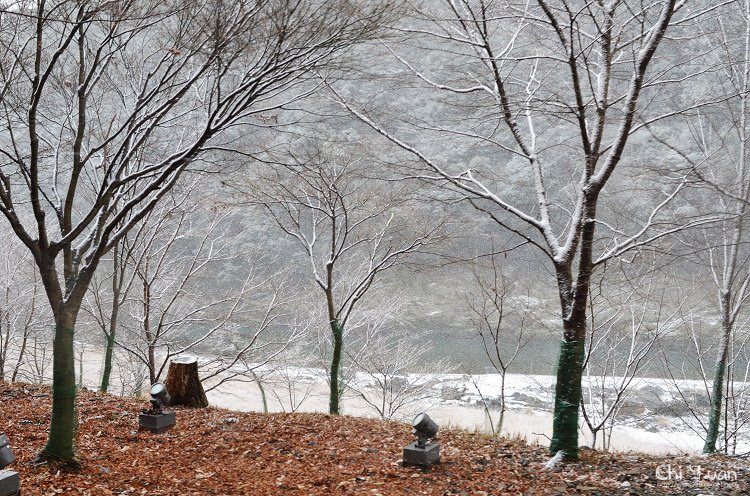 嵯峨野觀光鐵道-冬雪26.jpg