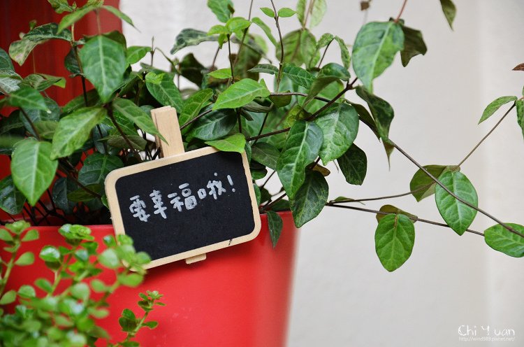 小巷愛樂芬10.jpg