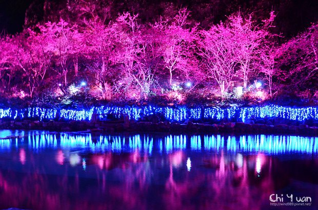 九族文化村櫻花祭09.jpg