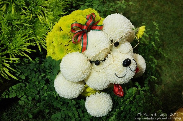 2011台灣花卉展26.jpg