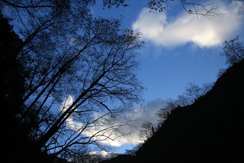 Nepal-Langtang67