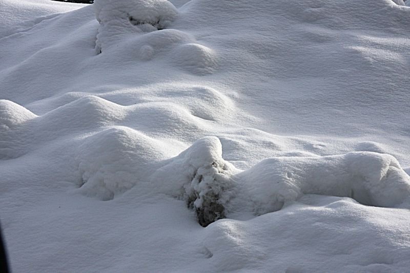 B-雪地3.jpg