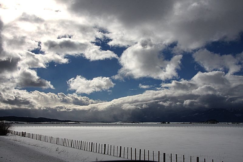 B-雪地13.jpg