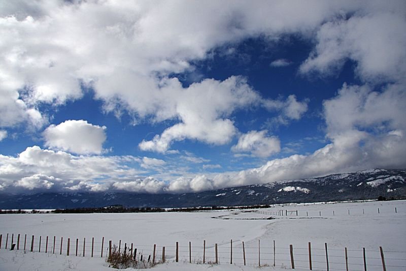 B-雪地14.jpg