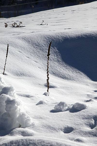 B-雪地18.jpg