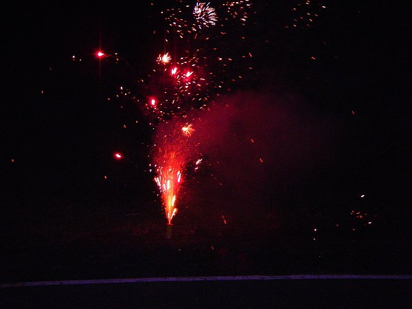 IMGP0081.JPG