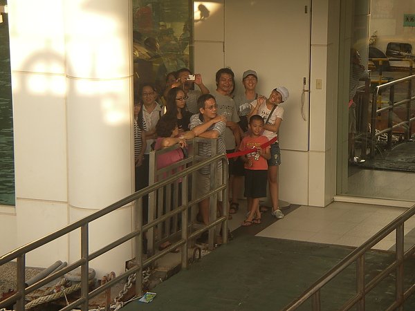 IMGP0184.JPG