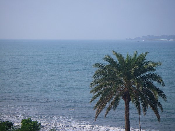 IMGP0117.JPG