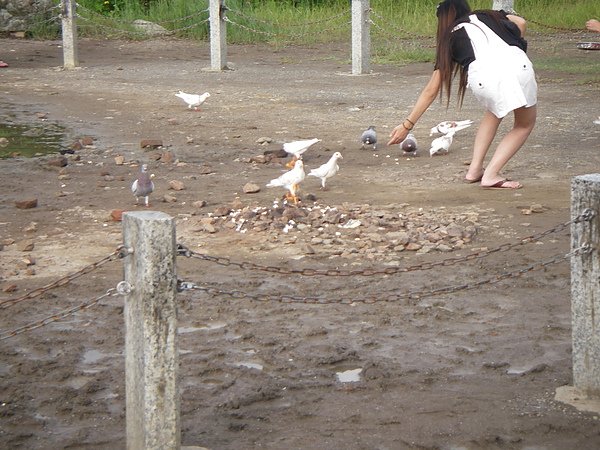 IMGP0029.JPG