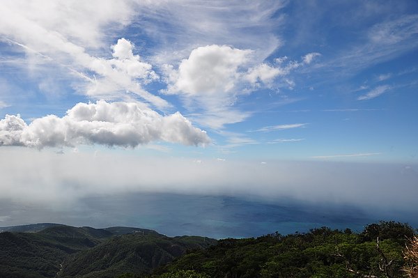DSC_0124.JPG