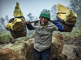 「indonesia sulfur miners」的圖片搜尋結果