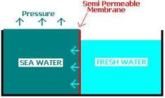 「osmotic power」的圖片搜尋結果